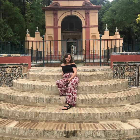 Meet your Posher, Bailey - Picture 1 of 1